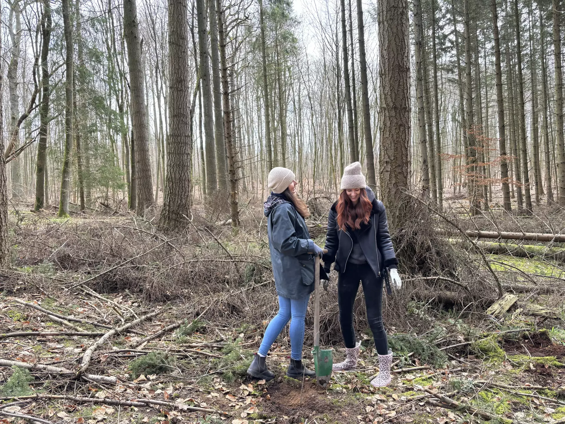 Zwei Kolleg*innen stehen in Winterkleidung im Kücknitzer Wald. Kira hält eine Schaufel, um den Setzling einzupflanzen. Im Hintergrund sind hohe Bäume und verstreute Äste auf dem Boden zu sehen.