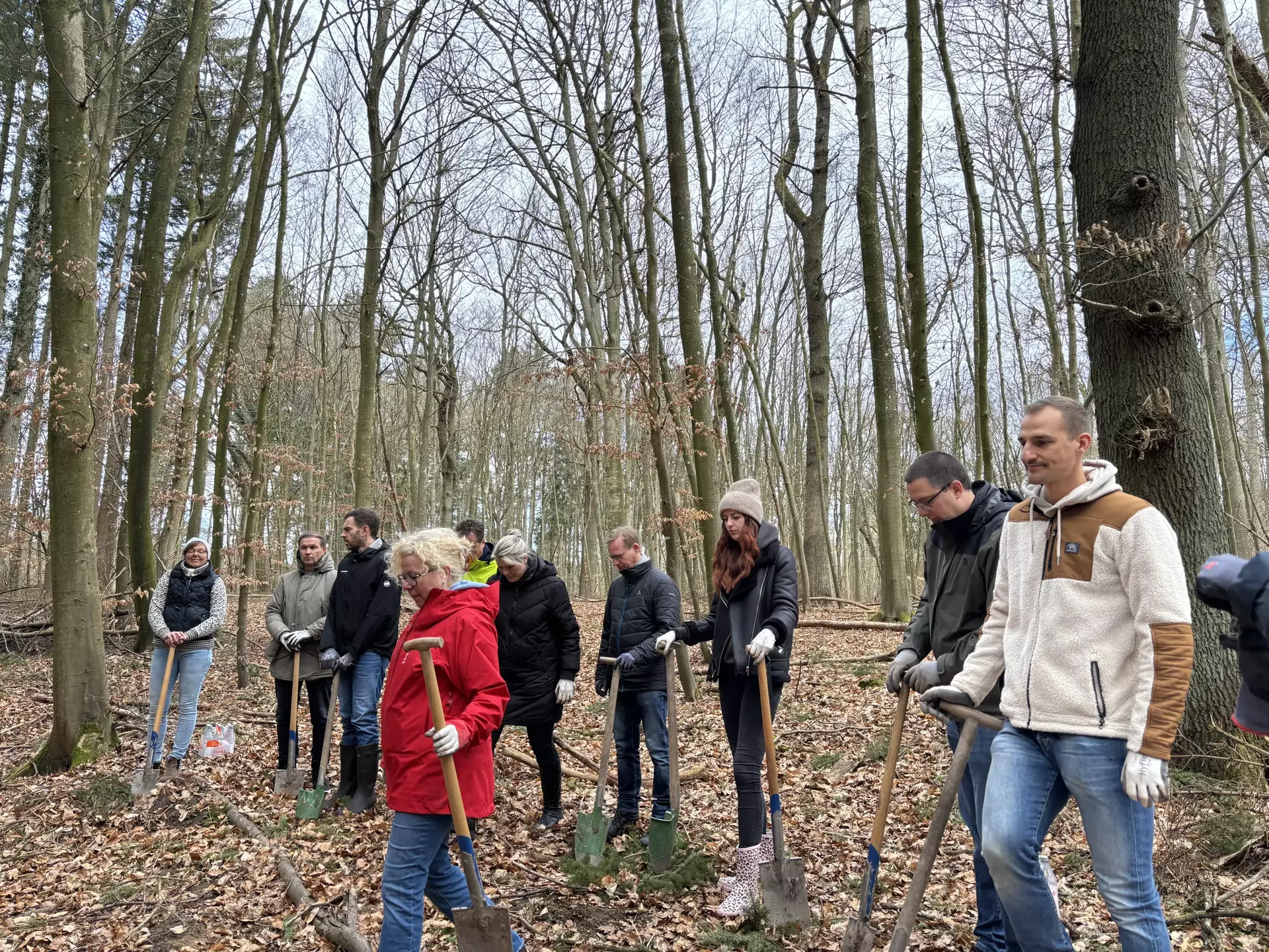 Kolleg*innen der Schwartauer Werke mit Mitarbeiter*innen der Mövenpick Holding stehen im winterlichen Waldgebiet von Kücknitz, jeweils mit einer Schaufel in der Hand. Sie tragen warme Kleidung und beginnen die ersten Bäume für den Mischwald zu pflanzen.