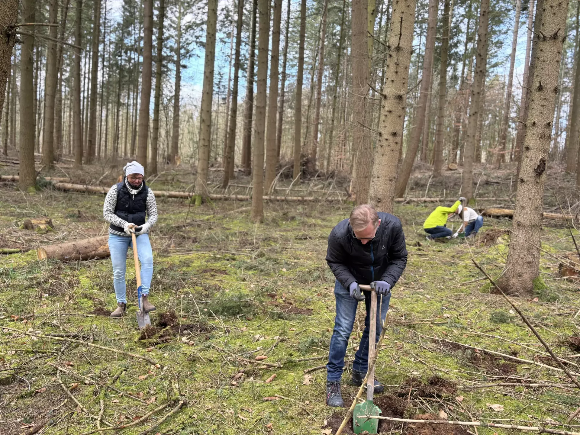 Drei Kolleg*innen der Schwartauer Werke arbeiten in einem bewaldeten Gebiet: Zwei stehen mit Schaufeln und graben, eine Person kniet im Hintergrund am Boden. Umgeben sind sie von hohen Bäumen, Ästen und Baumstämmen.