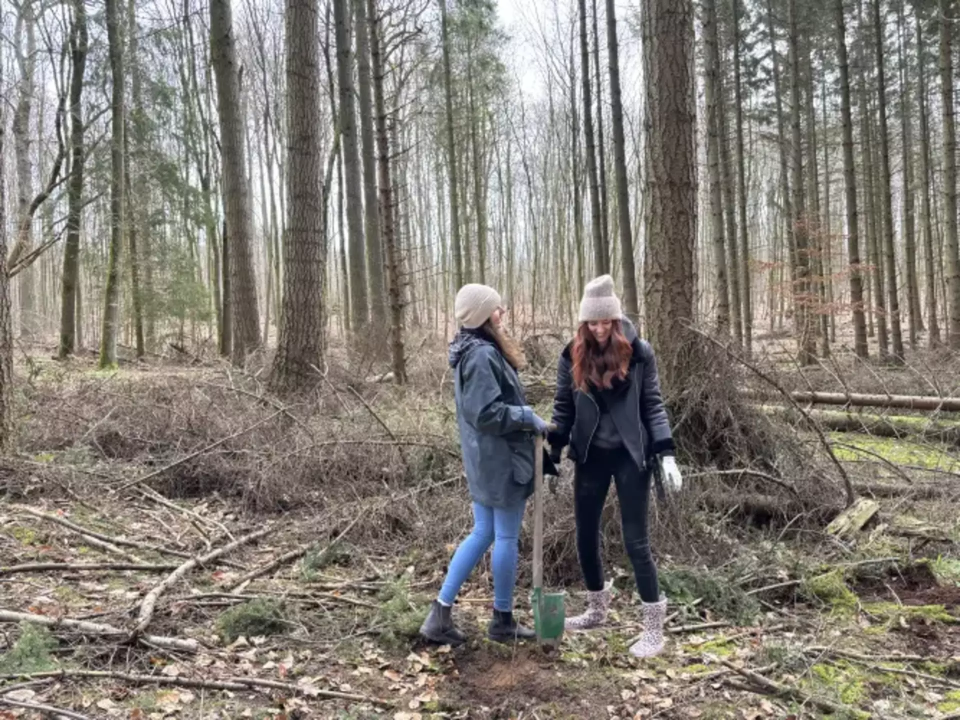 Zwei Kolleg*innen stehen in Winterkleidung im Kücknitzer Wald. Kira hält eine Schaufel, um den Setzling einzupflanzen. Im Hintergrund sind hohe Bäume und verstreute Äste auf dem Boden zu sehen.